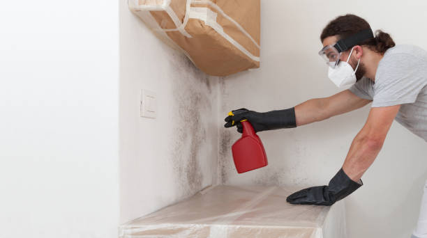 Professional Mold Removal technician working in Keasbey, NJ