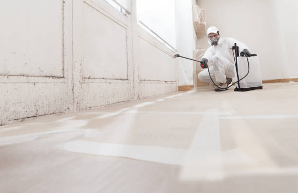 24/7 Emergency Mold Removal experts in Keasbey, NJ