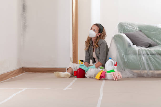 Reliable Mold Removal contractor in Keasbey, NJ by WQB Mold Removal